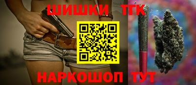 МДПВ Бийск