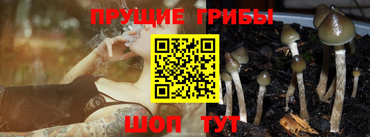Псилоцибиновые грибы MAGIC MUSHROOMS Кирово-Чепецк